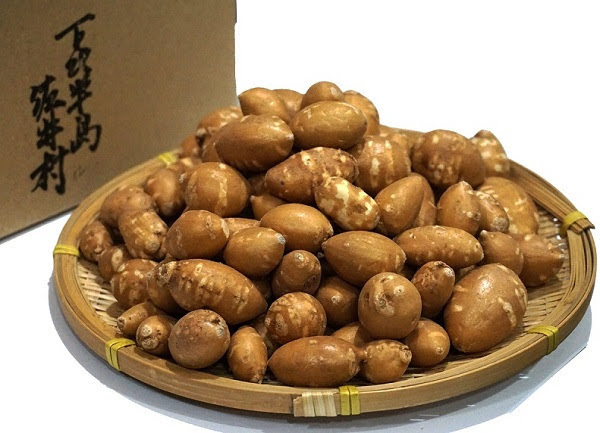 青森県佐井村産 アピオス1kg(大サイズ・小サイズ)